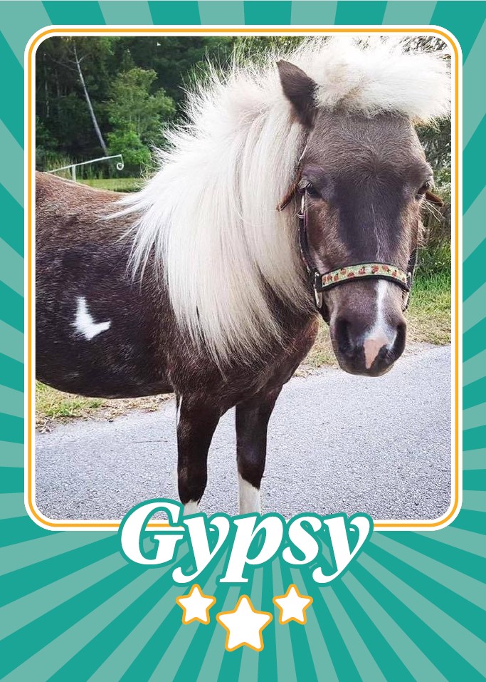 Gypsy 1.jpg