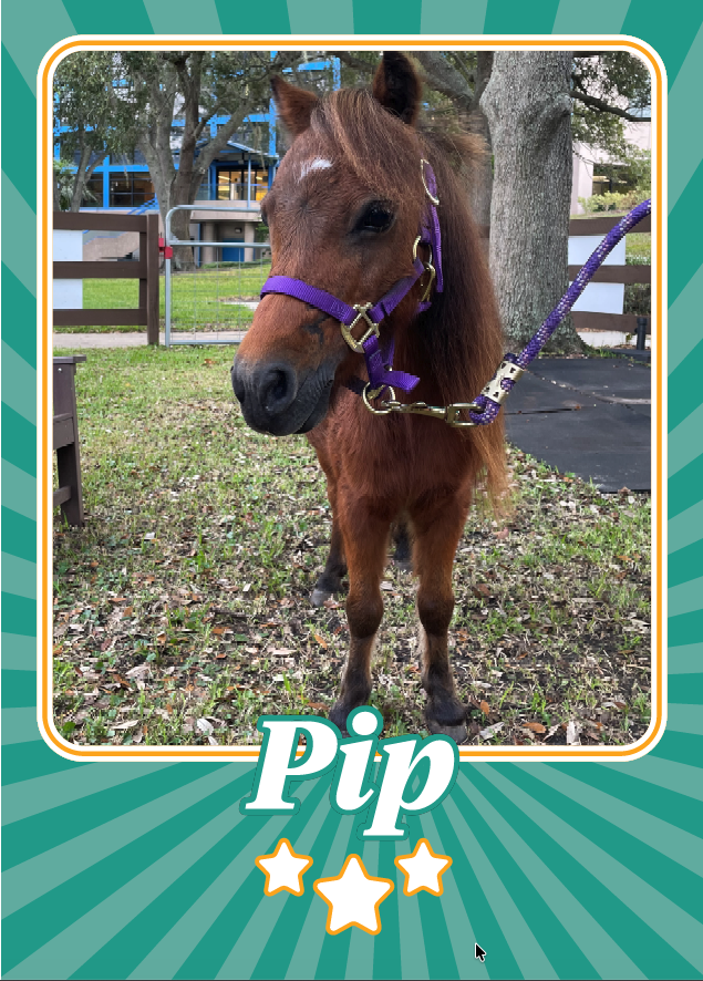 Pip.png